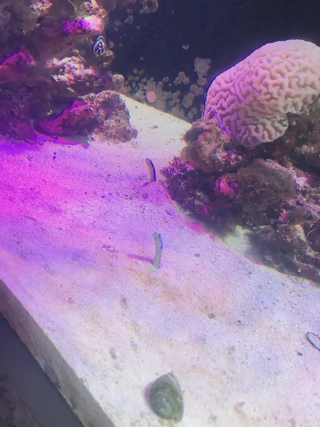 沼津港深海水族館
