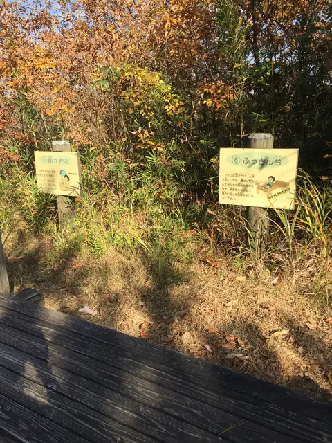 益子県立自然公園 益子の森