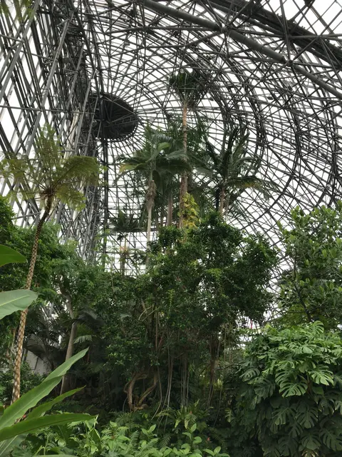 東京都夢の島熱帯植物館