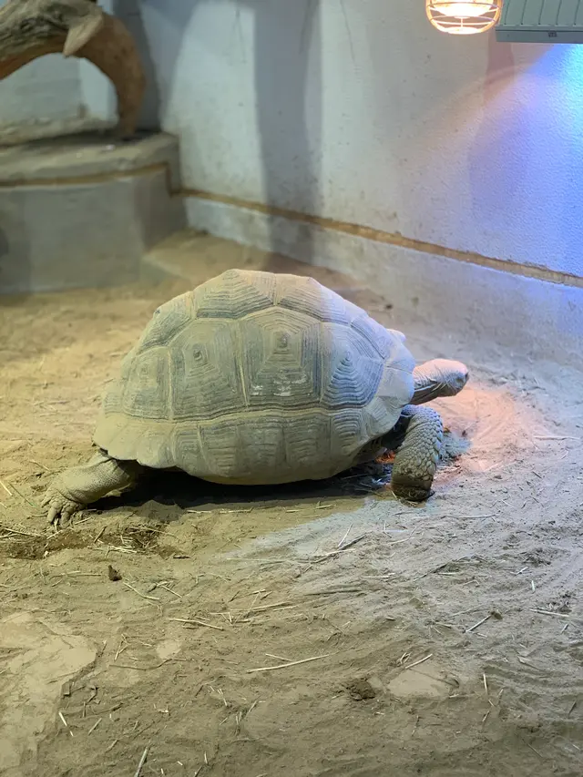 NIFREL（ニフレル）