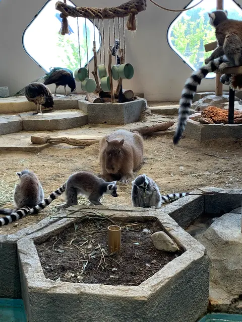 NIFREL（ニフレル）