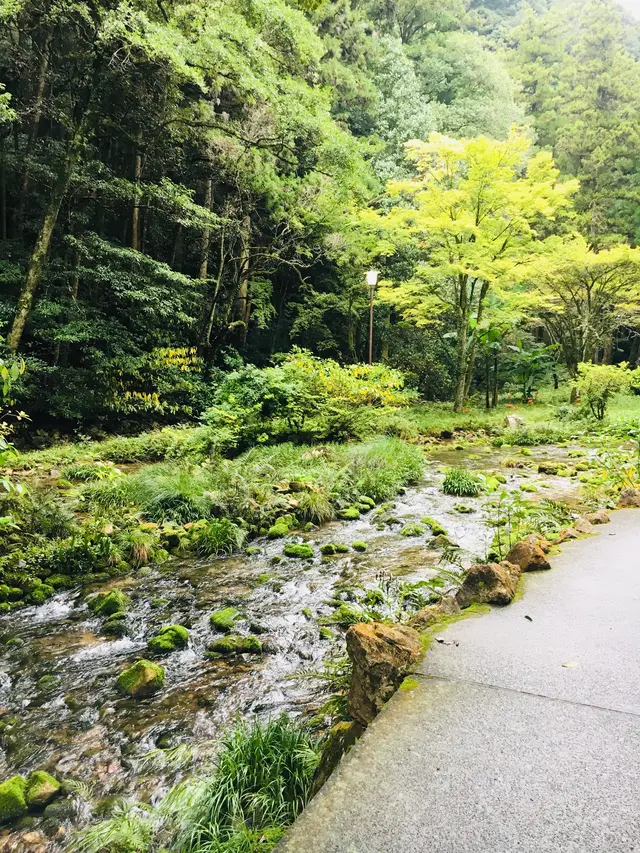 秋芳洞