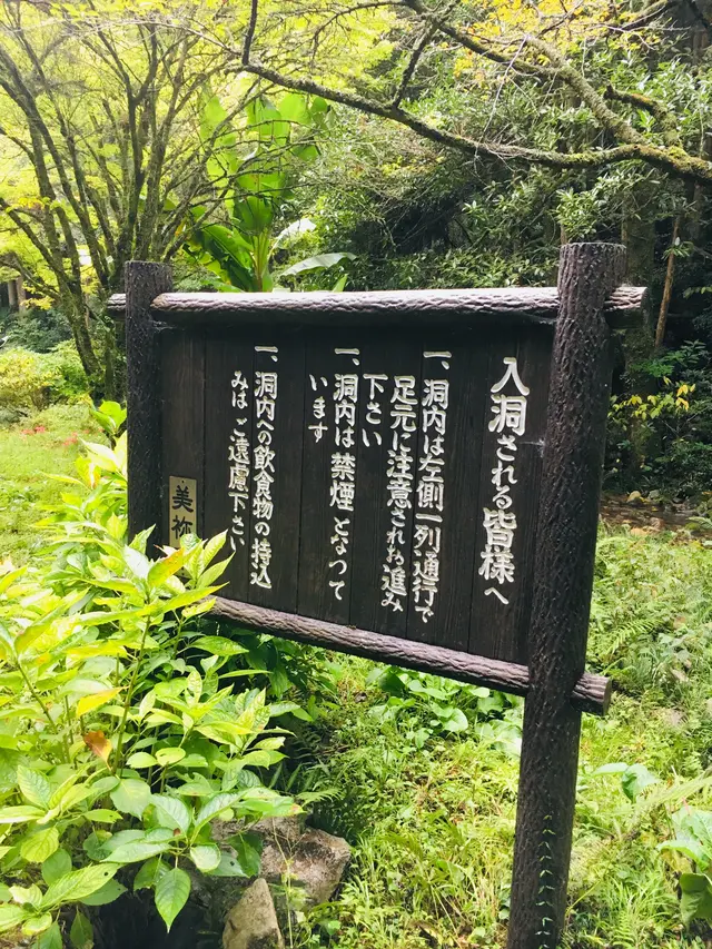秋芳洞