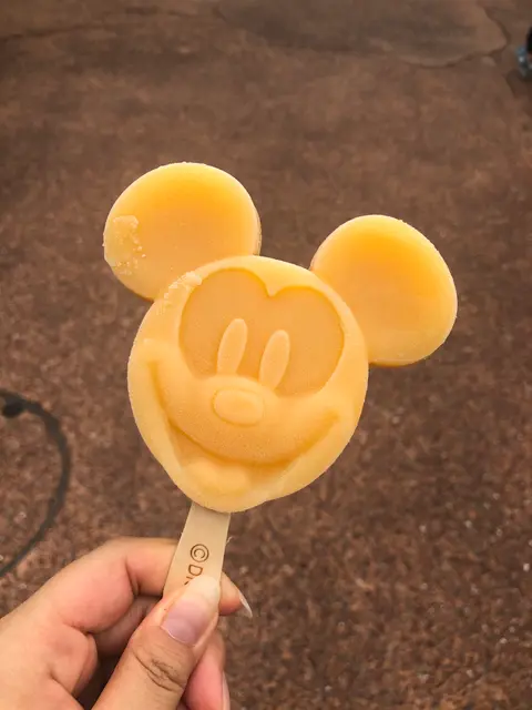東京ディズニーランド