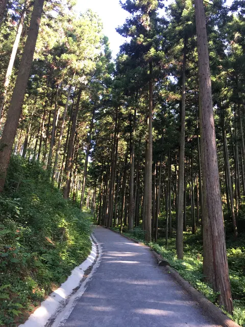 塩澤山 寳光寺 鹿野大佛
