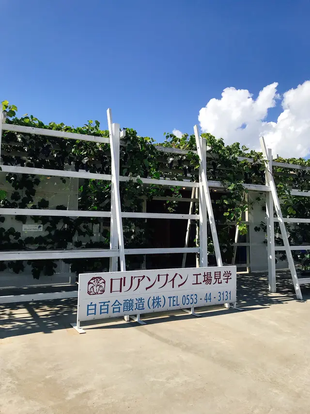 ロリアンワイン白百合醸造