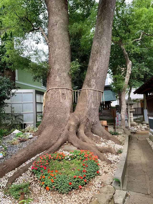 鳩ケ谷氷川神社