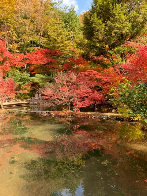 曽木公園