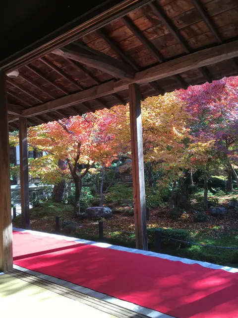 圓光寺