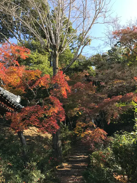 石峰寺