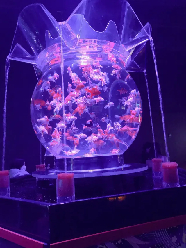 アートアクアリウム美術館