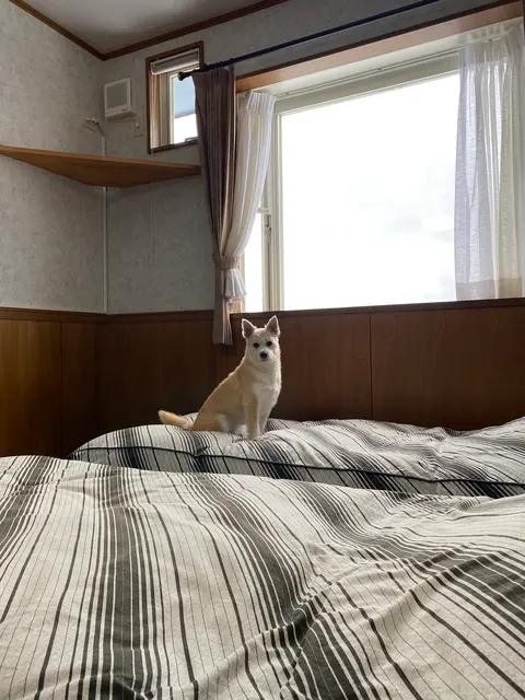 丘の上のペンション ぐ～たらパパ
