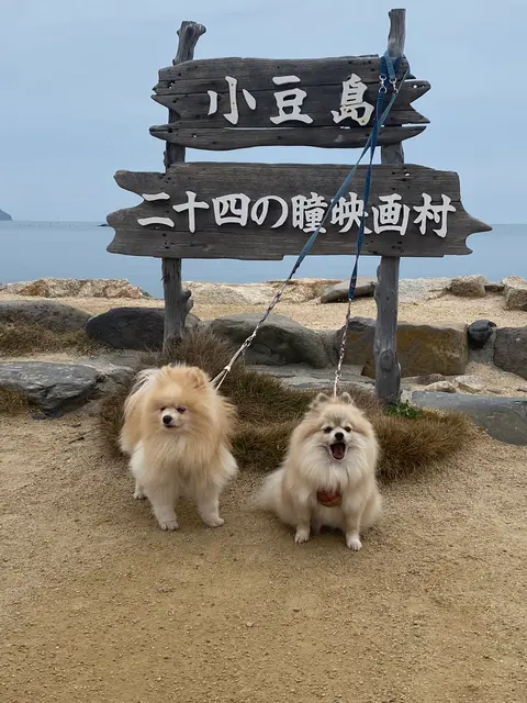 二十四の瞳映画村