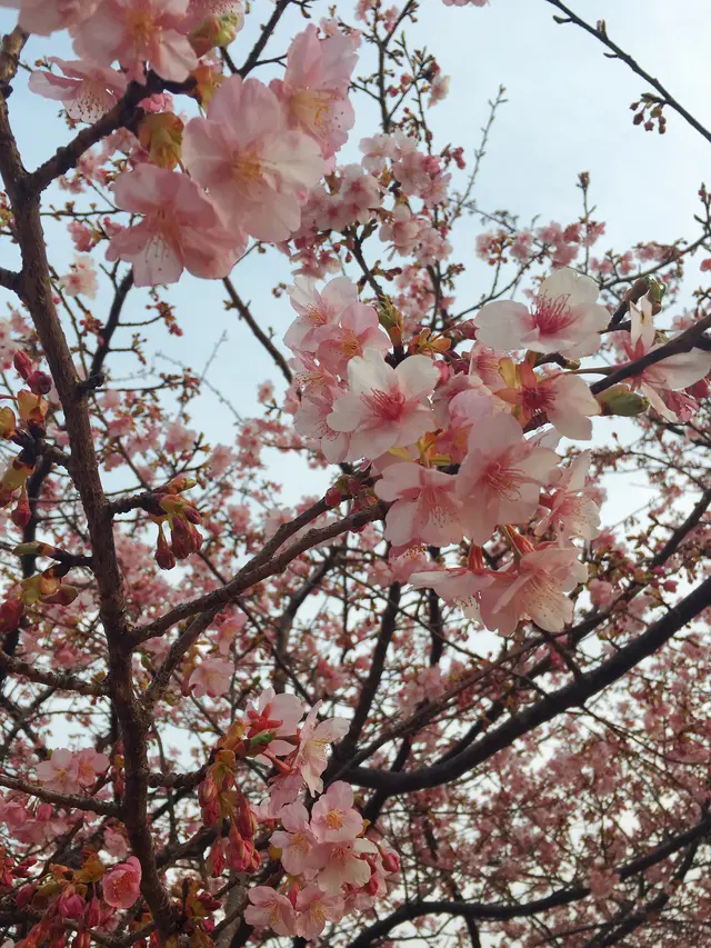 山守茶屋 杜のとうふ工房三河屋