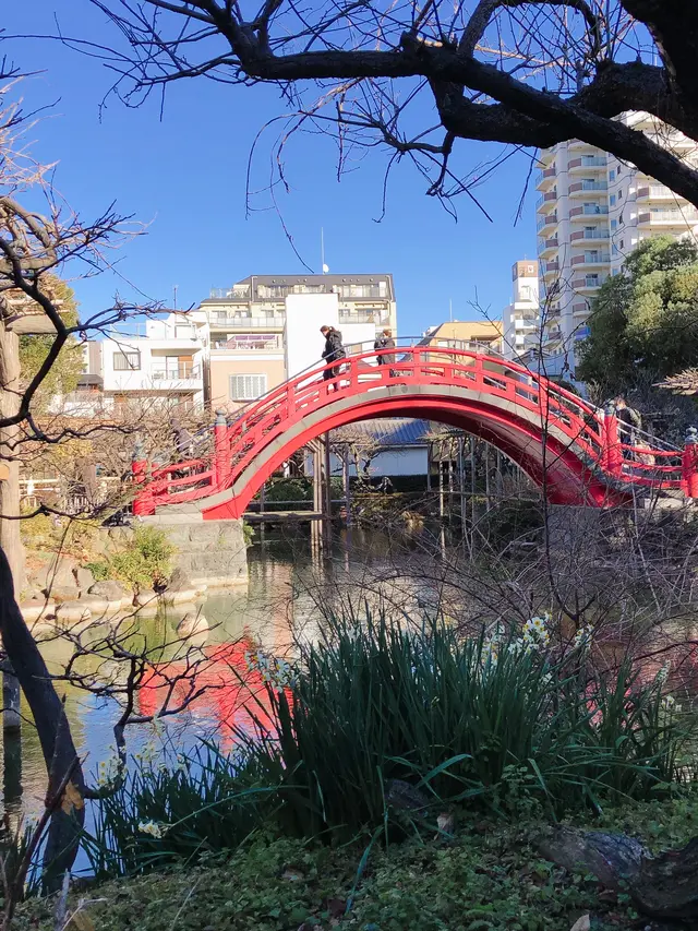 亀戸天神社
