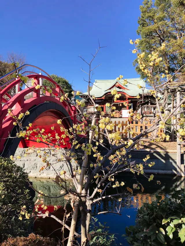 亀戸天神社