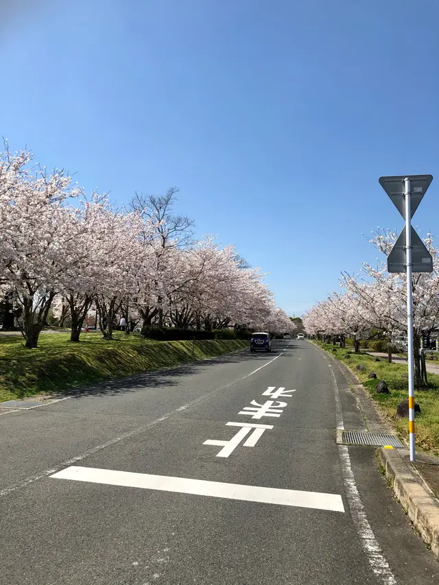 大貞公園