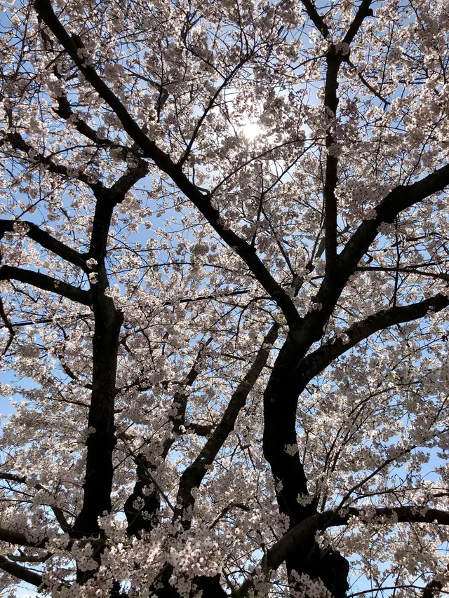 大貞公園