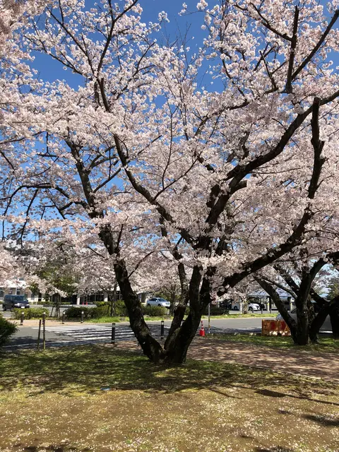 大貞公園