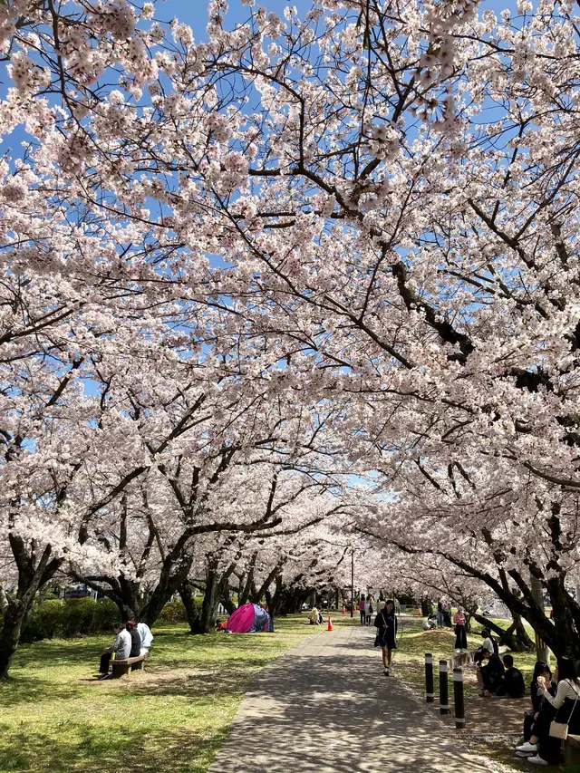 大貞公園