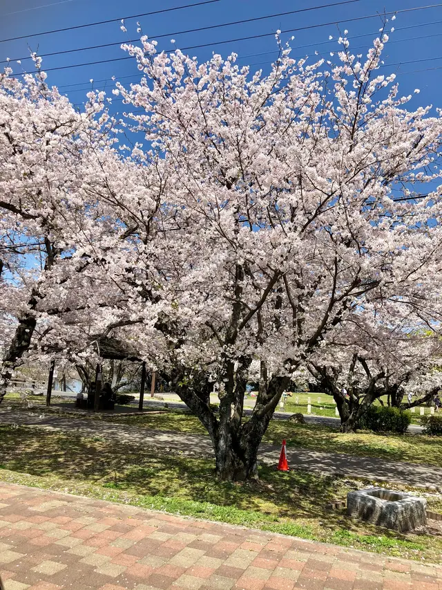 大貞公園
