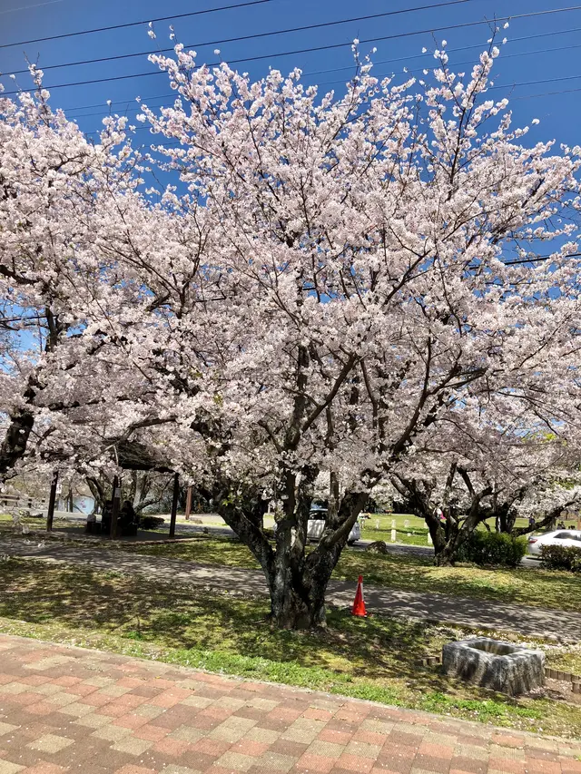 大貞公園