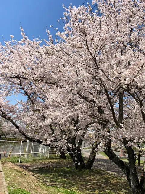 大貞公園