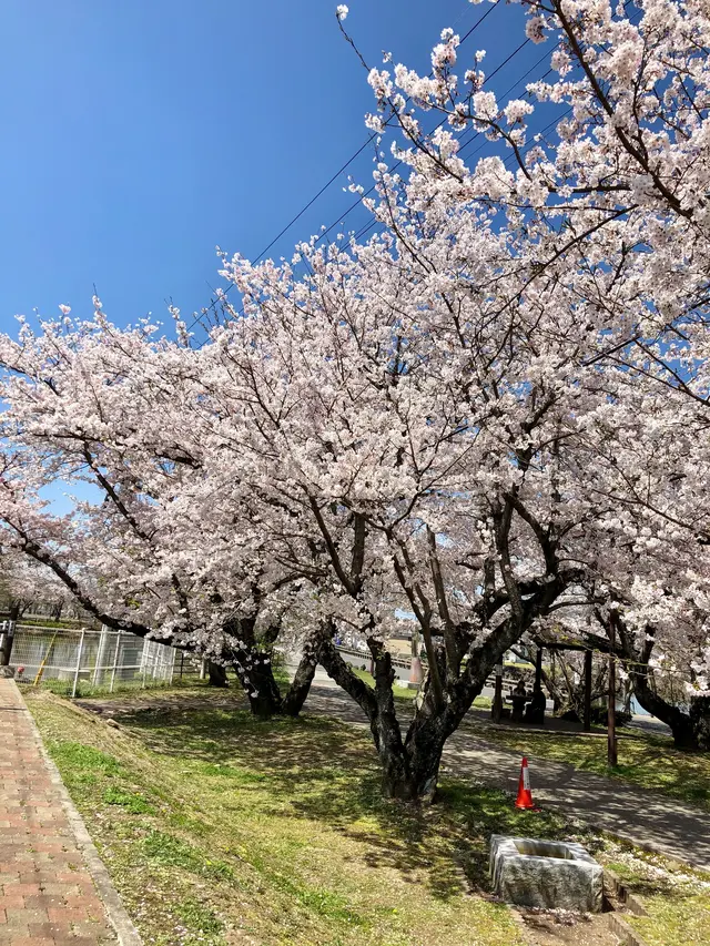 大貞公園