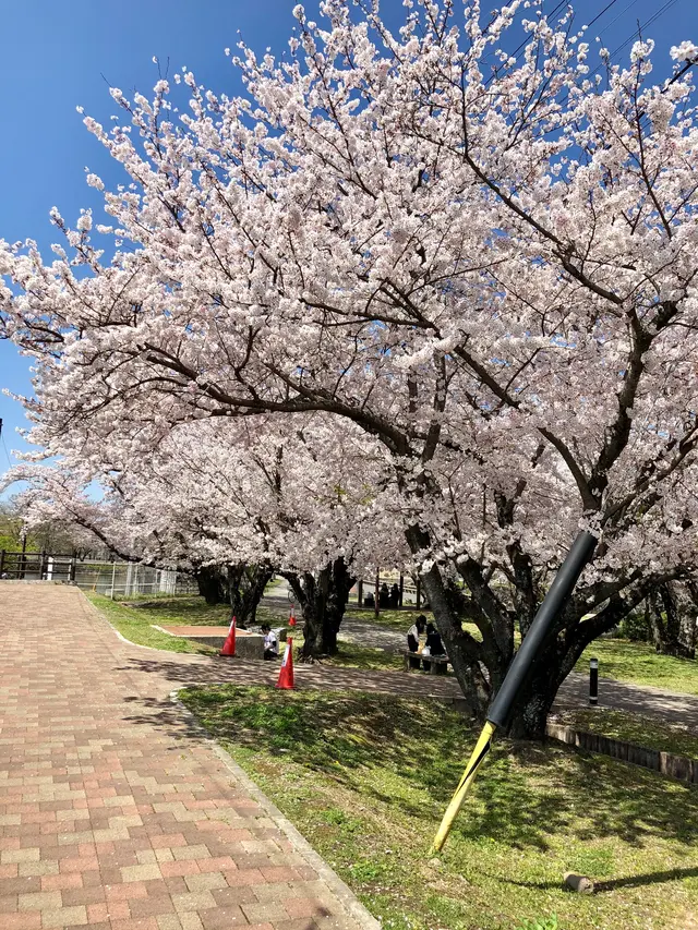 大貞公園