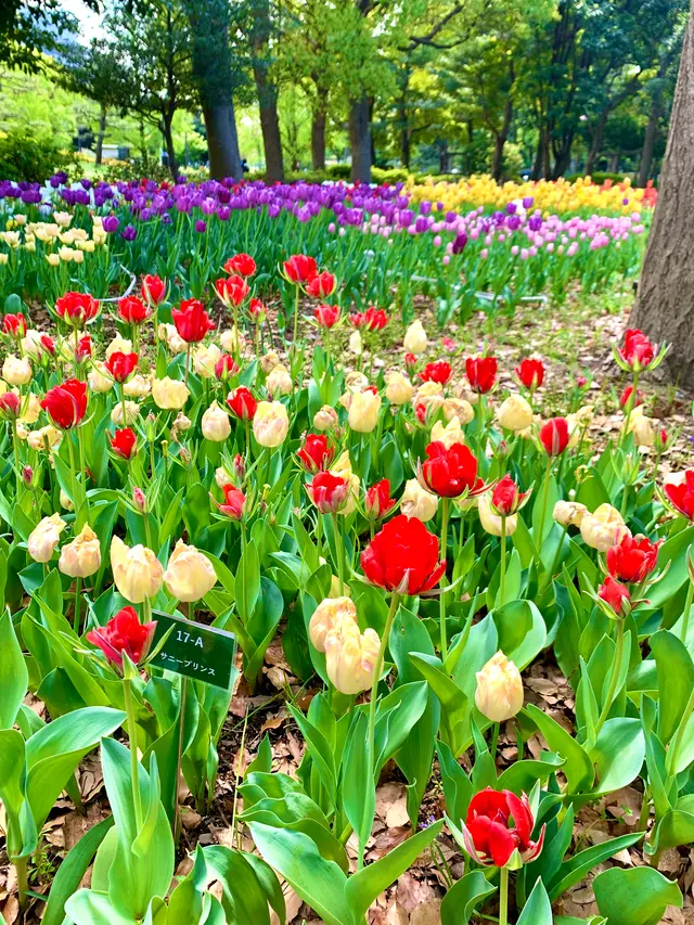 猿江恩賜公園