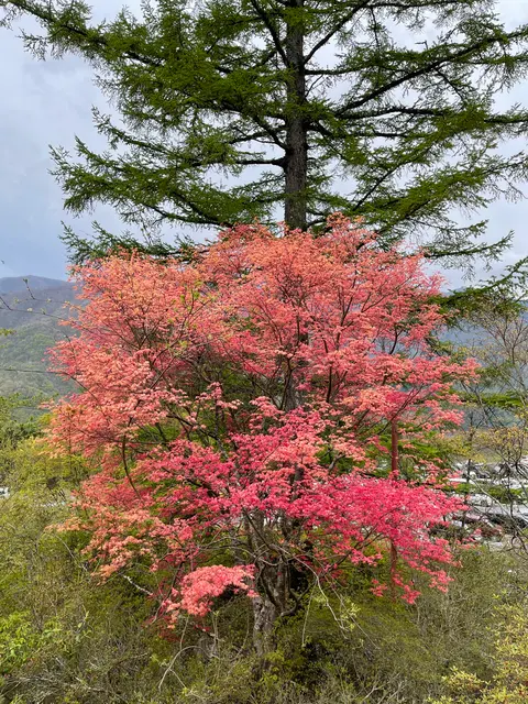 三峰神社 奥宮遥拝殿（見晴台）