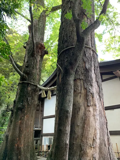川越氷川神社