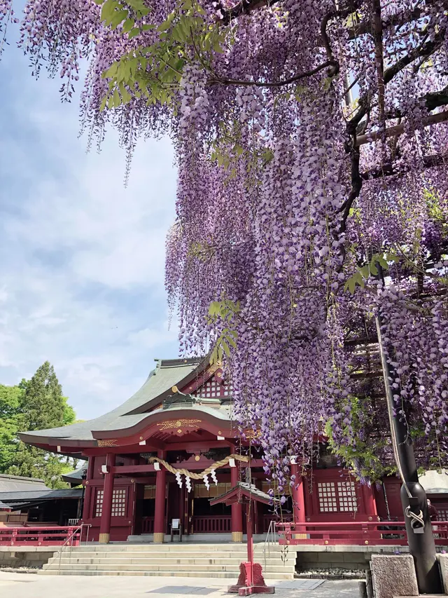 笠間稲荷神社