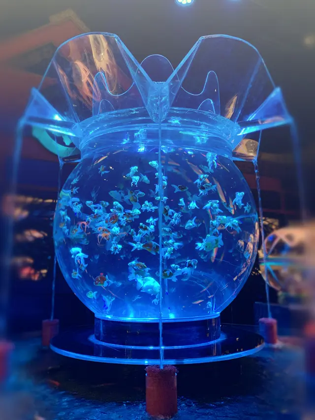 アートアクアリウム美術館