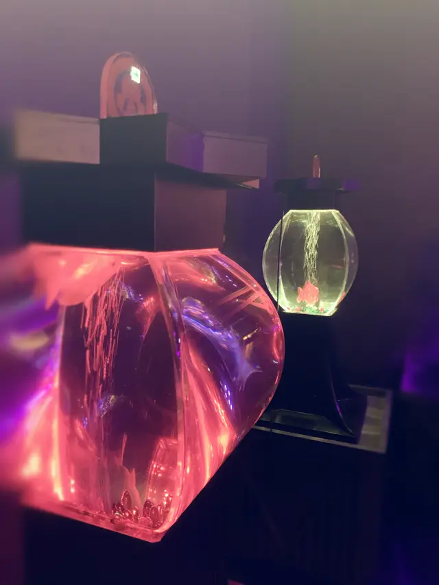 アートアクアリウム美術館