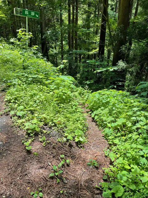 仙見川渓谷