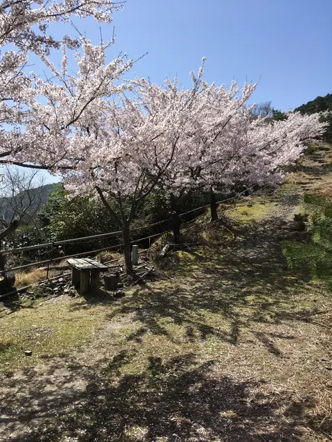 石津御嶽登山口駐車場