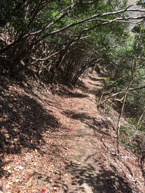 石津御嶽登山口駐車場