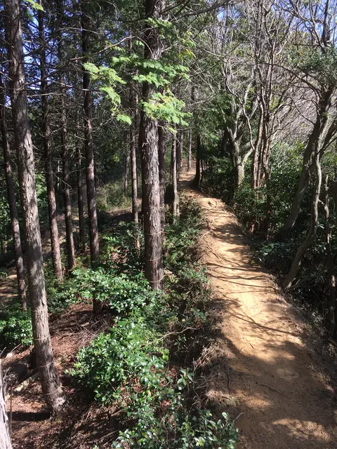 石津御嶽登山口駐車場