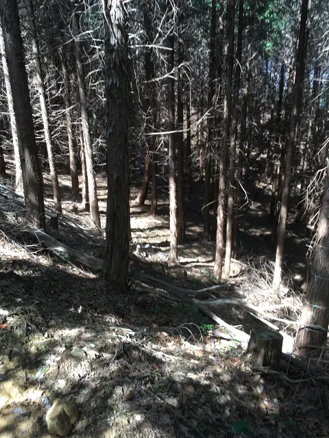 石津御嶽登山口駐車場