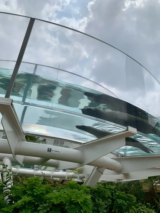 サンシャイン水族館