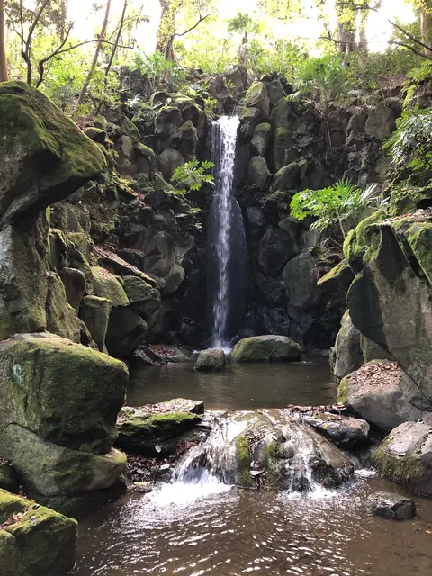 成田（成田山表参道）