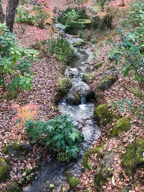 成田（成田山表参道）