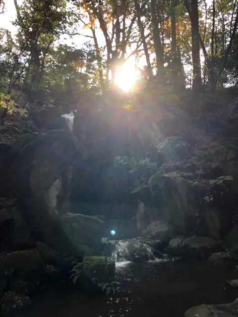 成田（成田山表参道）