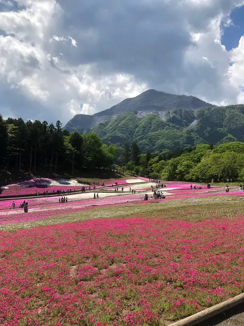 羊山公園
