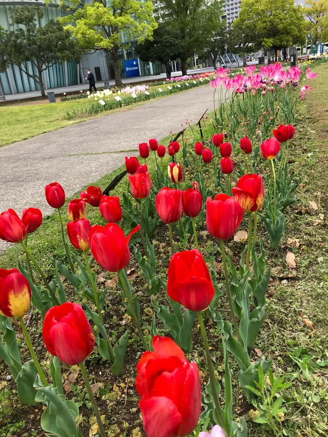 都立シンボルプロムナード公園　