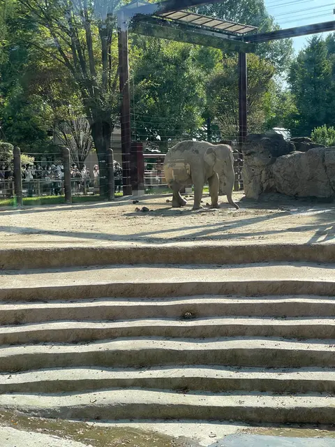 上野動物園