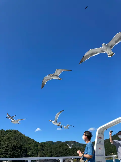 伊根湾めぐり遊覧船