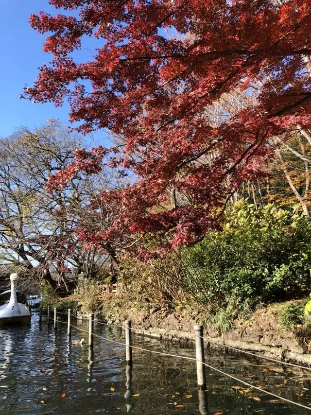 井の頭恩賜公園