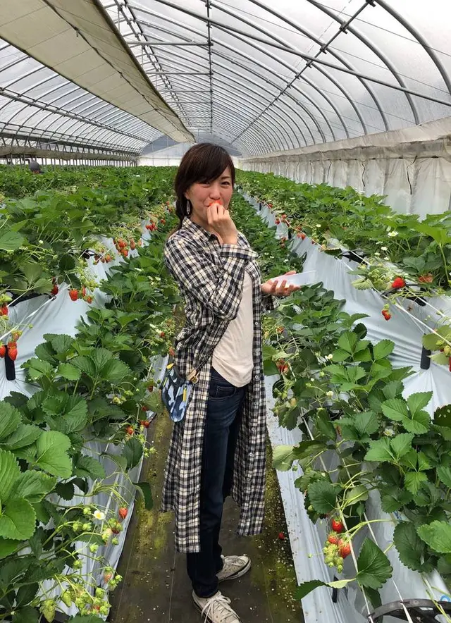 いちご狩り Mama's Berry